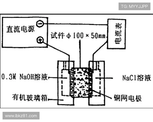 广州羽毛球队边路渗透战术分析及其对比赛结果的影响探讨