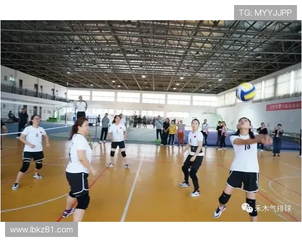 深入探讨深圳排球队实力对比与发展潜力分析