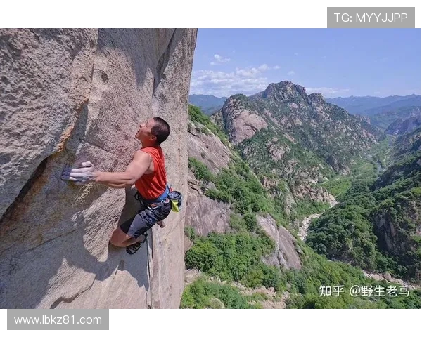 西安攀岩队荣登全国攀岩配合排行榜第二名展现实力与团队精神