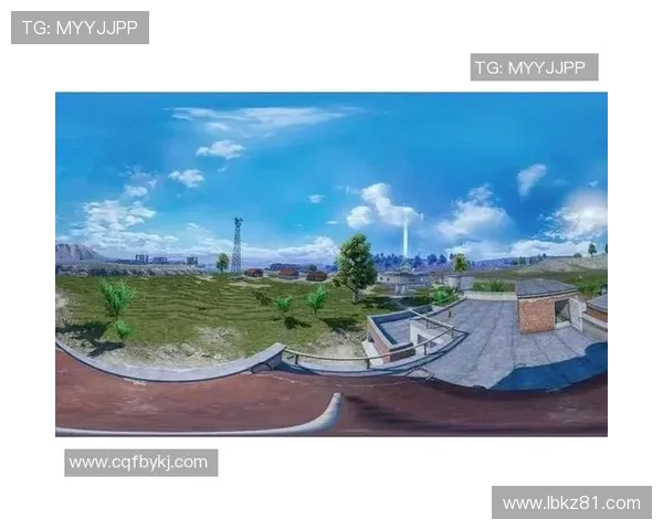 李伟谈和平精英发展历程与未来展望的深度专访