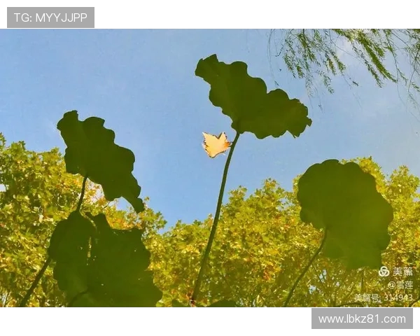 武汉羽毛球队在钻石联赛中的辉煌历程与突破成就全景回顾